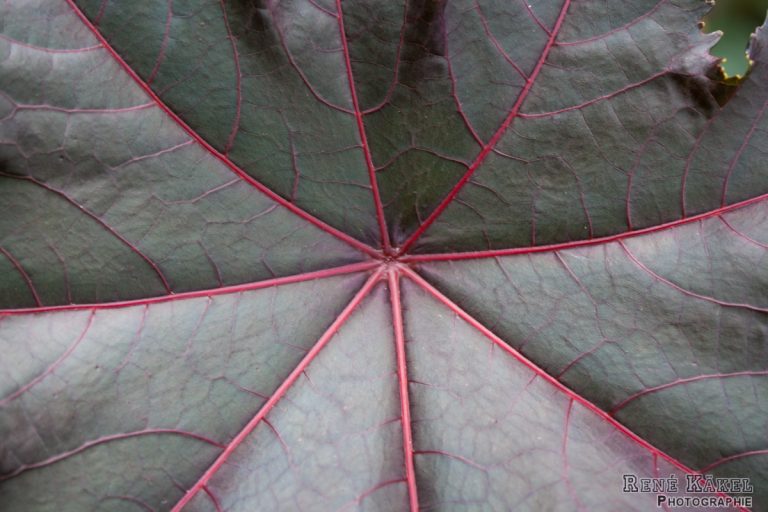 Ein Tag in der Hardtanlage in Wuppertal