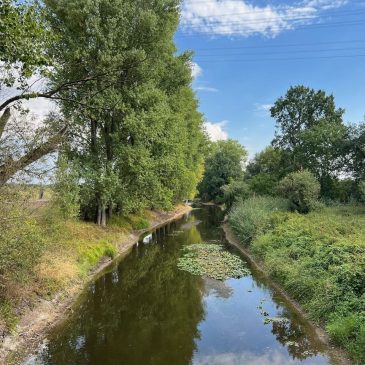 In die Hessische Rheinebene