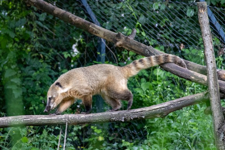 Impressionen aus den Zoo Karlsruhe