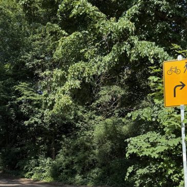 Umleitung in die Sackgasse