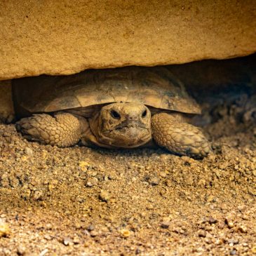 Impressionen aus dem Zoo Frankfurt