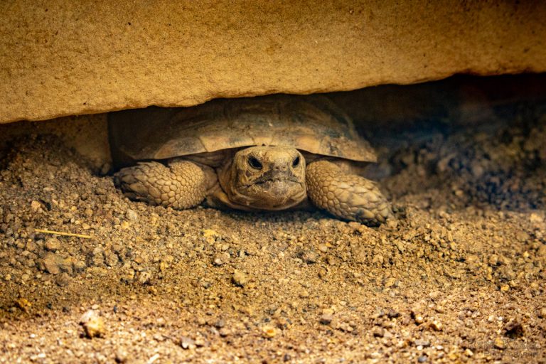 Impressionen aus dem Zoo Frankfurt