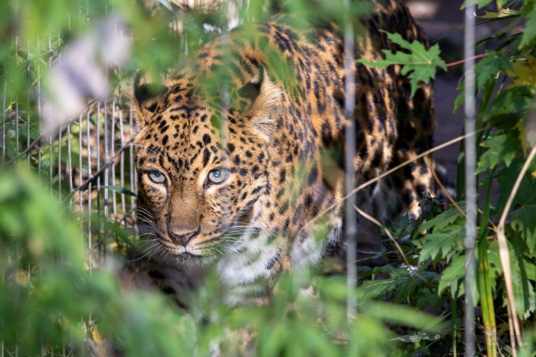 Bilder aus dem Karlsruher Zoo