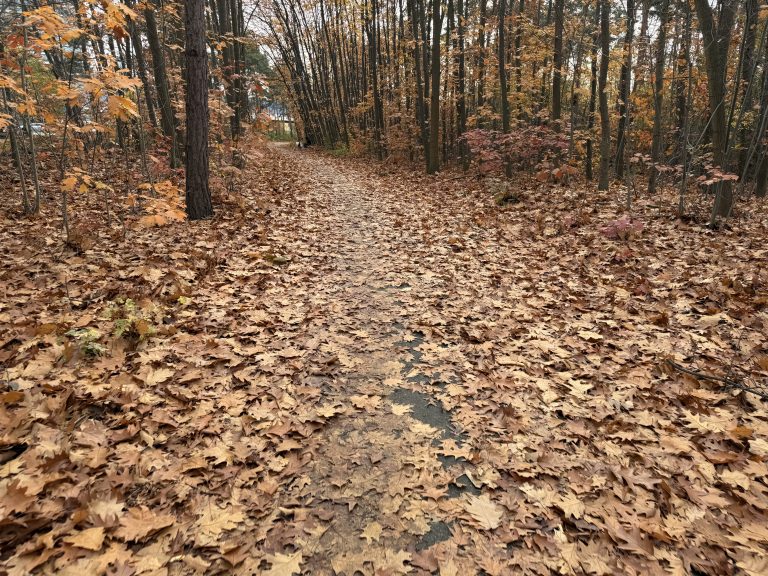 Laub auf Radweg entfernen…