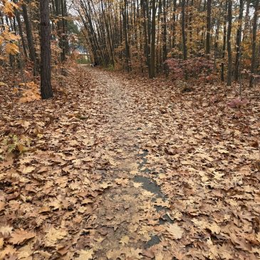 Laub auf Radweg entfernen…