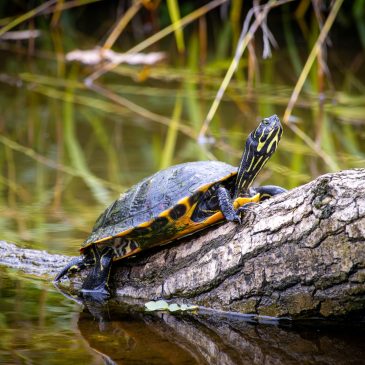 Bild im ZooF Magazin 01/2026