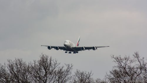 IMG 6583