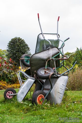 IMG 0388