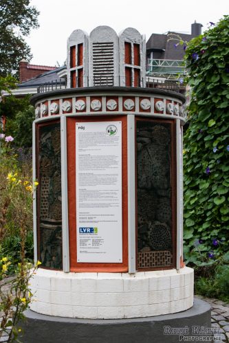 IMG 0419