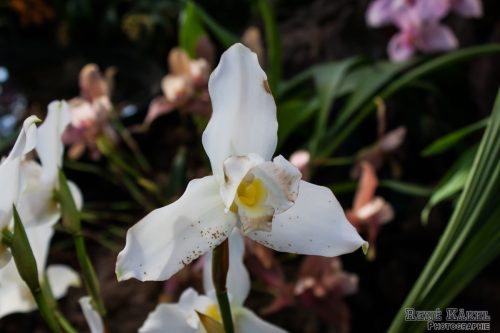 IMG 0841