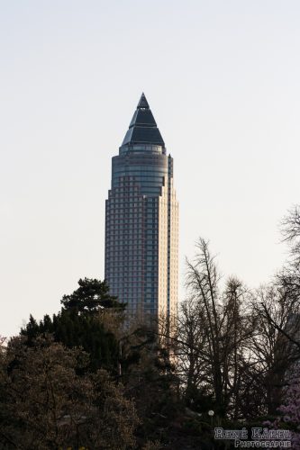 IMG 0898