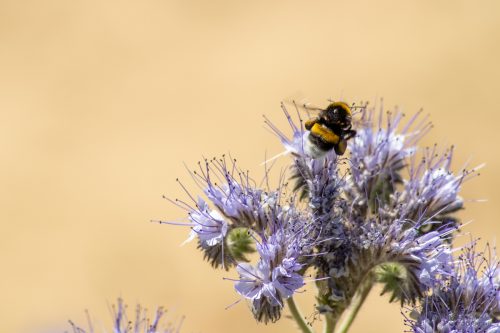 IMG_6873