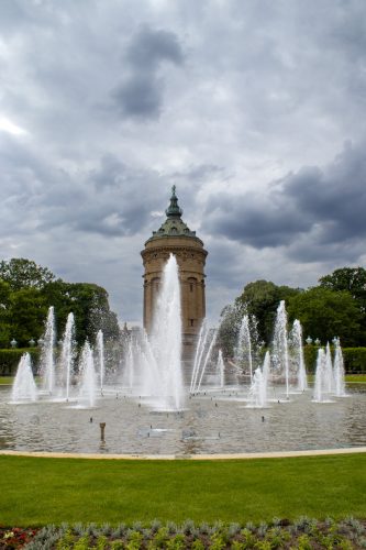 IMG 7277