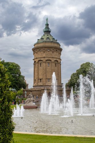 IMG 7299