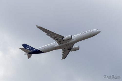 IMG 0041