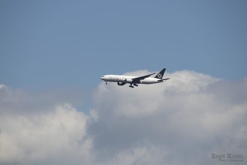 IMG 4210