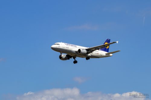 IMG 4251