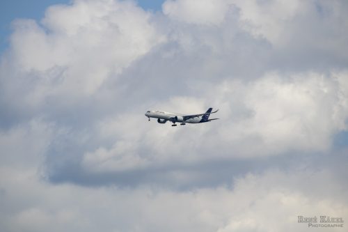 IMG 4350