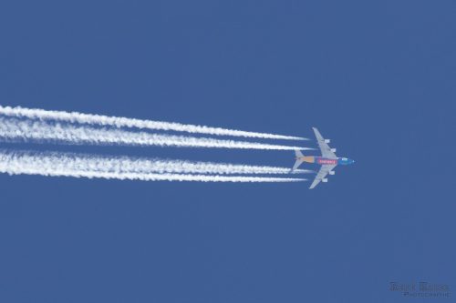 IMG 4365