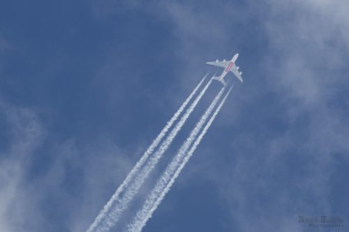 IMG 4512
