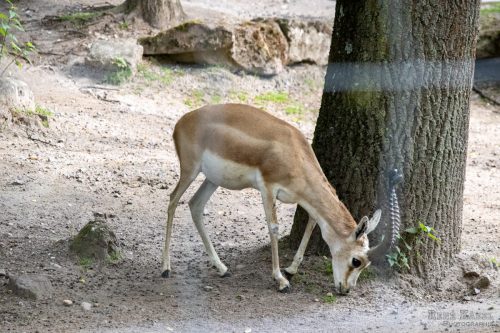 IMG 4644