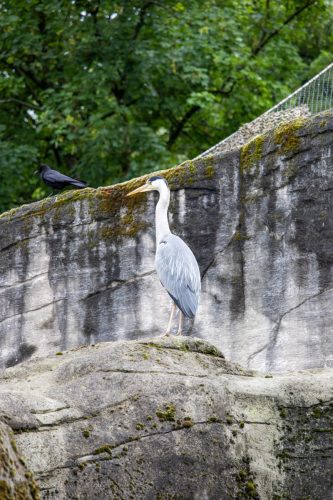 IMG 6369
