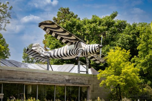 IMG 7017-Verbessert-RR