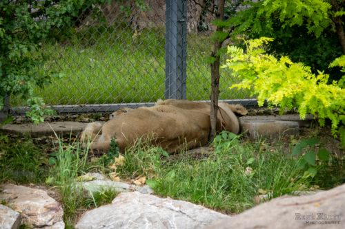 IMG 7382