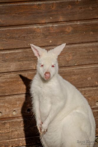 IMG 0008