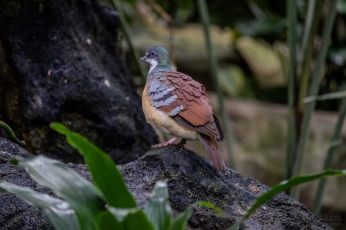 IMG 0561